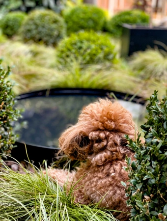 Wasserschale / Wasserspiegel Rund 80, Gartendekoration für Terrasse und Rasen, Dekorative Schachtabdeckung